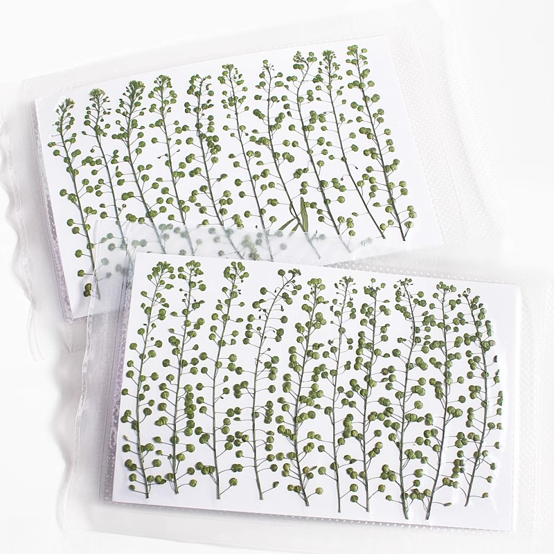 Naturalny kolor zielony, suszo – Resin Craft Ideas recenzja i cena
